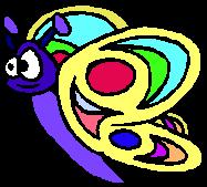 Butterfly2