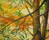 th_DSC00146